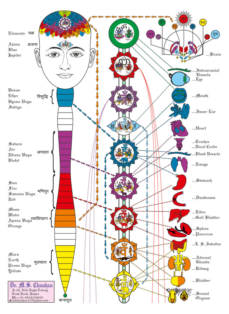 chakras-745x1024